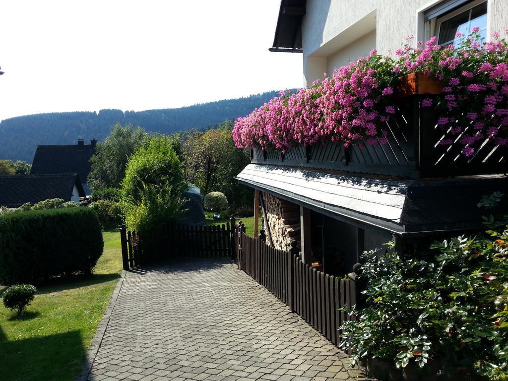 Ferienwohnungen Luge - Winterberg Exterior foto